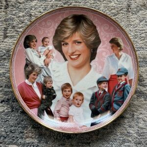 The Danbury Mint Royal Worcester Diana Royal Motherhood Collectors Plate